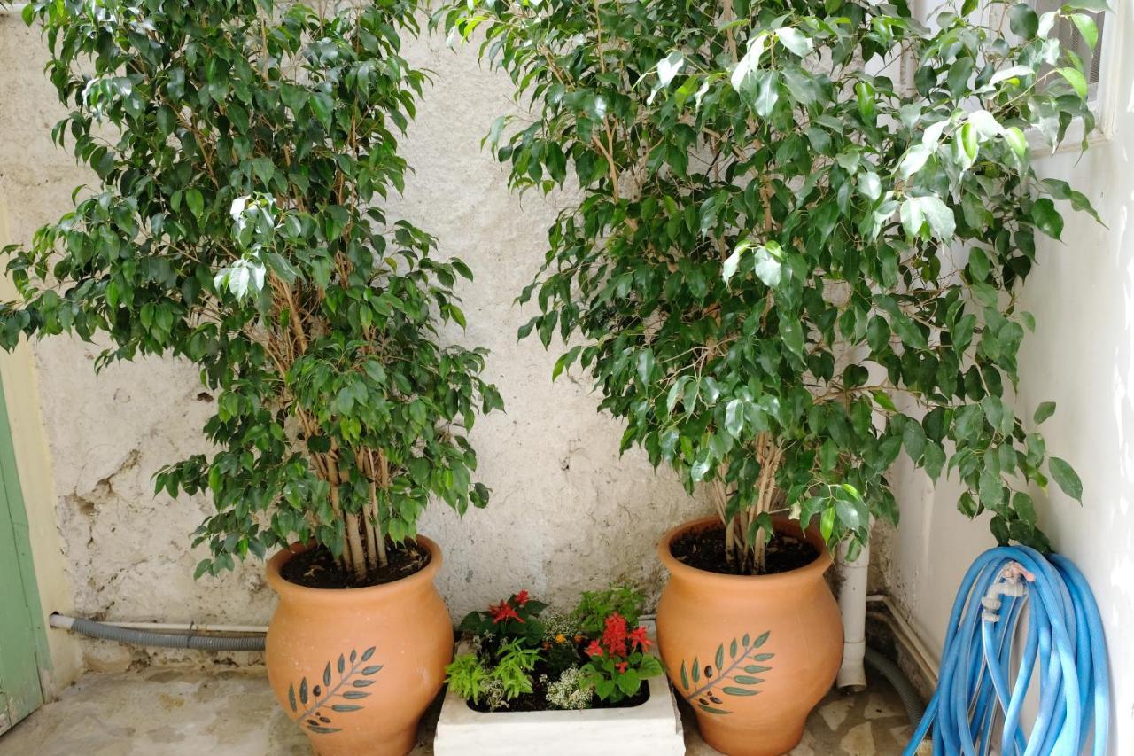 George Studio أثينا المظهر الخارجي الصورة
